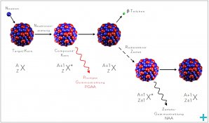 Scientific Highlight - Revay & Kudejova