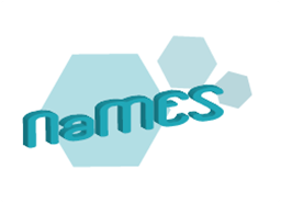 The NaMES' logo - Designed by Nadine Briemle (TUM) The NaMES' logo - Designed by Nadine Briemle (TUM)