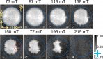 Domain expulsion in the IMS of superconducting Nb in increasing field after FC to 4 K observed by means of nGI