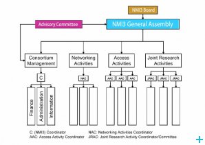 NMI3 