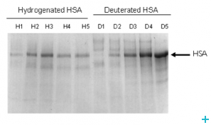 Deuteration JRA - 2