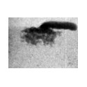Real-time imaging 2 Real-time imaging 2