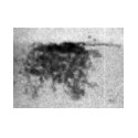 Real-time imaging 3 Real-time imaging 3